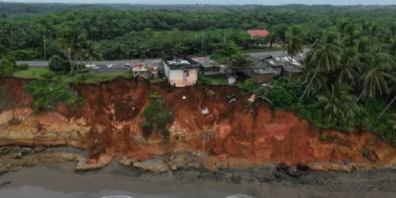 Ketika Negara “Membiarkan” Bengkulu Hilang
