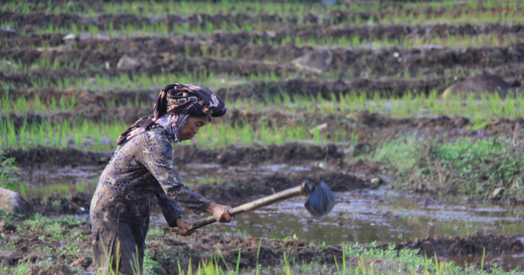 kisah-masyarakat-bujang-raba-hasilkan-rp3,5-miliar-dari-menjaga-hutan