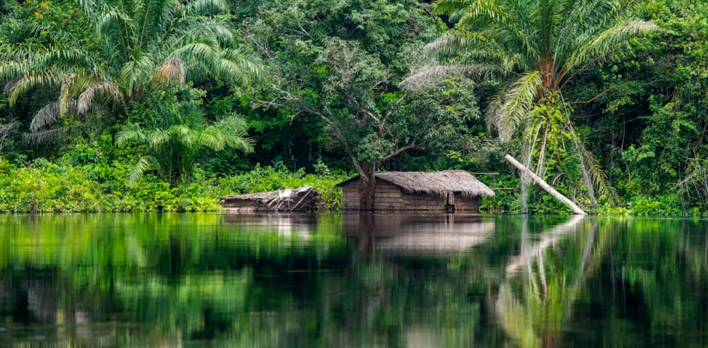 the-20km-ripple-effect:-how-mines-can-trigger-distant-deforestation-in-africa