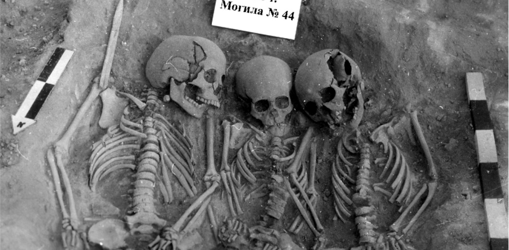 prehistoric-plague-could-have-caused-population-collapse-in-stone-age-europe