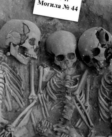 prehistoric-plague-could-have-caused-population-collapse-in-stone-age-europe