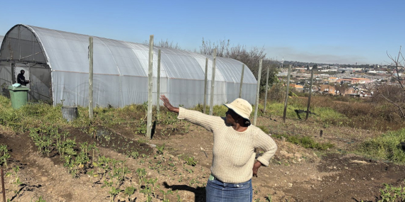 Urban farming helps Johannesburg’s poorest households survive – now it needs bigger investment