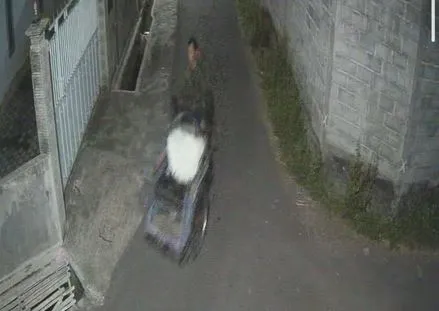 pencuri-becak-di-lumajang-terekam-cctv-dan-viral-di-medsos