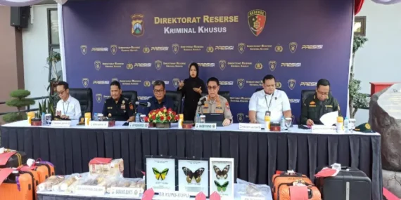 Polda Jatim Bongkar Penyelundupan Gading Gajah, Kupu-Kupu Langka, dan Puluhan Ribu Benih Lobster