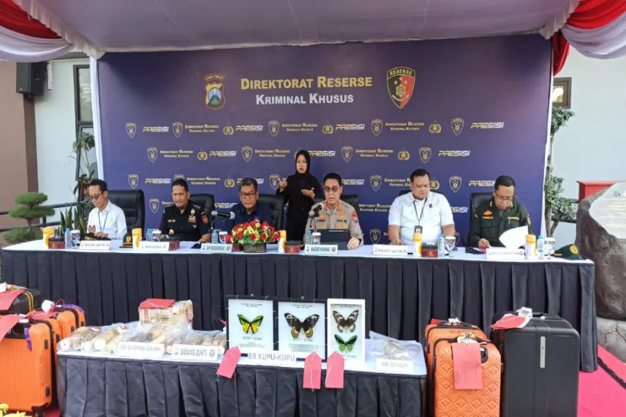 polda-jatim-bongkar-penyelundupan-gading-gajah,-kupu-kupu-langka,-dan-puluhan-ribu-benih-lobster