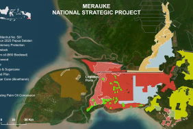 melihat-hilangnya-hutan-di-psn-merauke-lewat-teropong-satelit