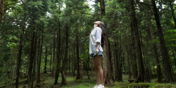 Rahasia Healing di Hutan Terungkap, Ada Senyawa Ini yang Bikin Tubuh dan Pikiran Lebih Sehat