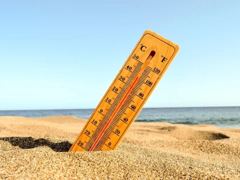 waspadai-dampak-musim-kemarau,-penyakit-pernapasan-hingga-heat-stroke-mengintai