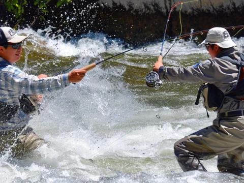 hukum-lomba-mancing-berbayar-di-kolam