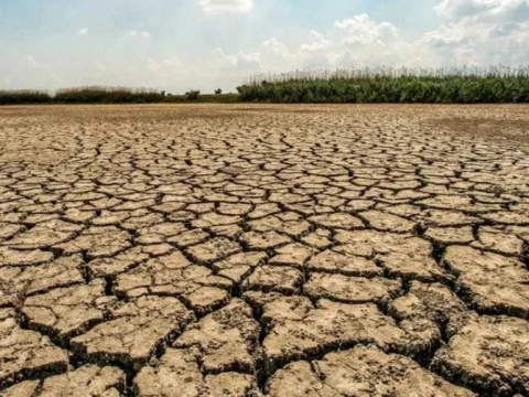 el-nino-diprediksi-berlangsung-hingga-2027,-sektor-pertanian-hadapi-ancaman-kekeringan