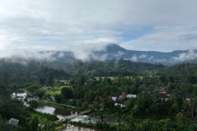 pengakuan-untuk-penjaga-napas-rimba-bujang-raba