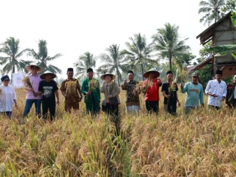 panen-perdana-beras-nu,-bukti-nyata-inovasi-pertanian-untuk-perkuat-ketahanan-pangan-nasional