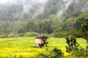 bisnis-karbon-ajang-cuci-dosa-korporasi-perusak-alam?