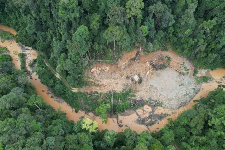 tambang-emas-ilegal-jambi-jarah-hutan-warisan-dunia