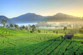 sundaland,-pasundan,-dan-tatar-sunda