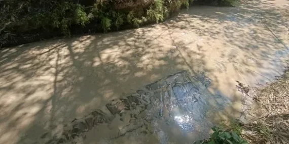 Terbongkar! Limbah Cucian Pasir Cemari Sungai di Madiun, Ada Pengusaha Tak Kantongi SIPA