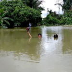 bencana-terus-datang-ketika-hutan-siberut-hilang