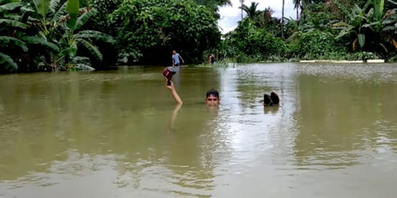 bencana-terus-datang-ketika-hutan-siberut-hilang