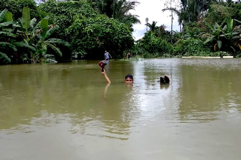 bencana-terus-datang-ketika-hutan-siberut-hilang