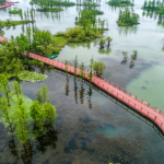 12-tempat-wisata-di-hangzhou-yang-wajib-dikunjungi
