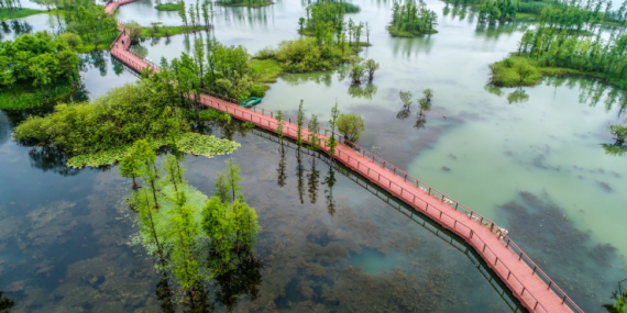 12-tempat-wisata-di-hangzhou-yang-wajib-dikunjungi