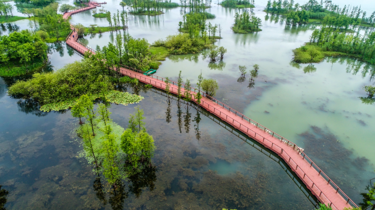 12-tempat-wisata-di-hangzhou-yang-wajib-dikunjungi