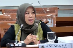 hj-ansari-ajak-semua-pihak-bersama-cegah-kekerasan-terhadap-perempuan-dan-anak