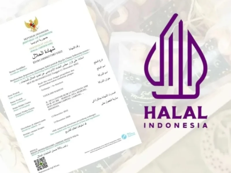 wajib-halal-perlu-dorongan-penguatan-literasi-lebih-luas