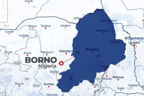 pasukan-nigeria-tewaskan-kamerawan-iswap-di-borno,-rekaman-aktivitas-teroris-berhasil-disita
