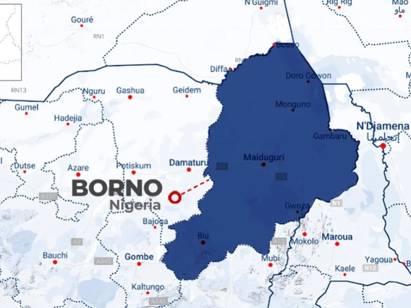 pasukan-nigeria-tewaskan-kamerawan-iswap-di-borno,-rekaman-aktivitas-teroris-berhasil-disita