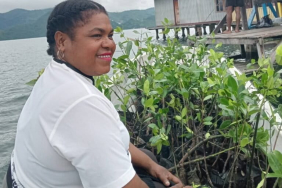 para-perempuan-adat-kampung-enggros-jaga-hutan-mangrove-di-tengah-keterancaman