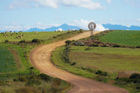 will-el-nino-drought-hit-food-prices-in-south-africa?-earlier-rains-and-grain-stocks-offer-hope