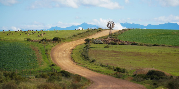 will-el-nino-drought-hit-food-prices-in-south-africa?-earlier-rains-and-grain-stocks-offer-hope