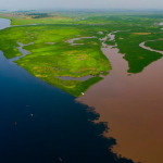 lakes-that-‘breathe’-ancient-carbon:-a-surprising-find-in-the-congo-basin