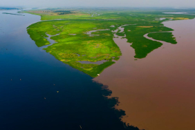 lakes-that-‘breathe’-ancient-carbon:-a-surprising-find-in-the-congo-basin
