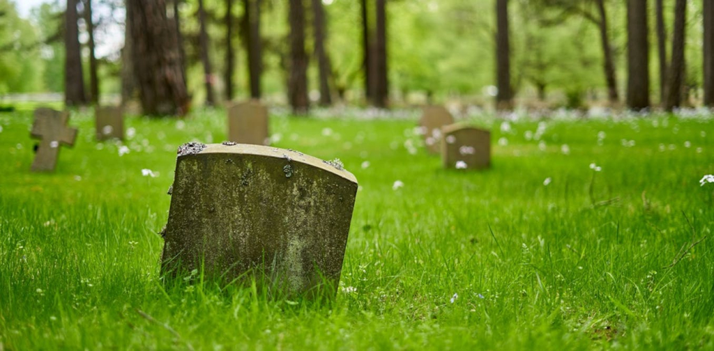 composting-and-water-cremation:-how-the-eco-credentials-of-alternatives-to-burial-add-up