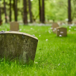composting-and-water-cremation:-how-the-eco-credentials-of-alternatives-to-burial-add-up