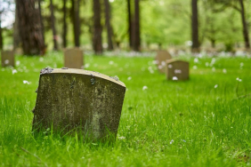 composting-and-water-cremation:-how-the-eco-credentials-of-alternatives-to-burial-add-up