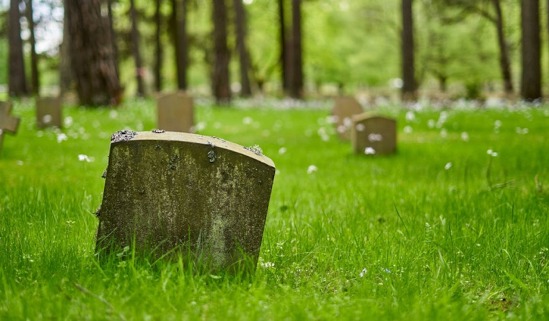 composting-and-water-cremation:-how-the-eco-credentials-of-alternatives-to-burial-add-up