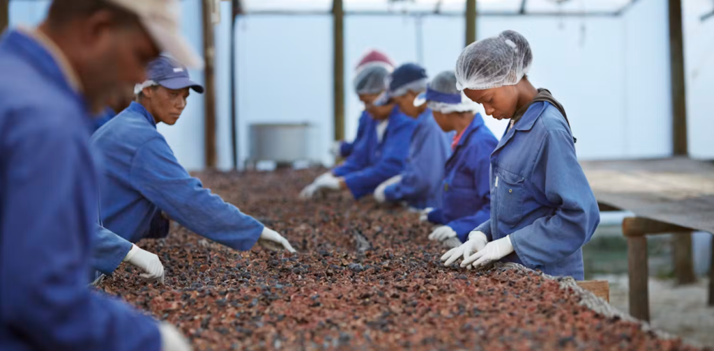 china-is-funding-african-farmers-but-not-food-processing-and-storage:-why-it’s-a-problem