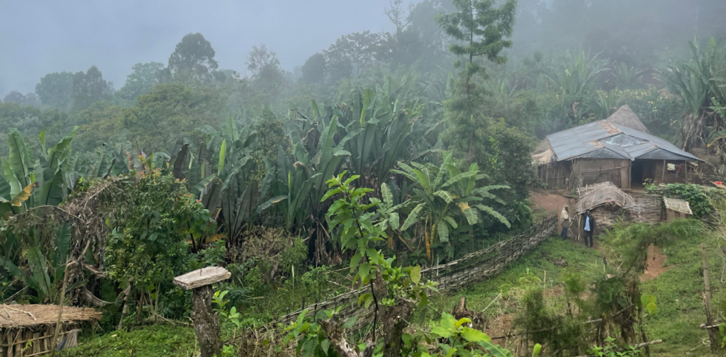 ethiopia’s-national-parks-are-working-for-wildlife-–-but-not-always-for-the-people-living-near-them