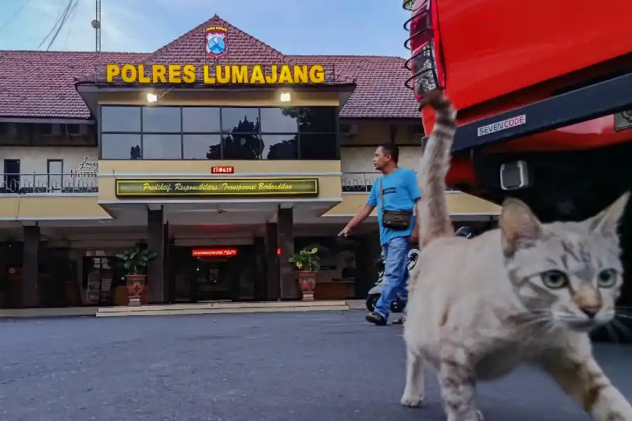 gadis-bawah-umur-di-lumajang-diduga-jadi-korban-rudapaksa-ketua-rt