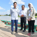 wapres-dorong-percepatan-pembangunan-jembatan-way-bungur-lampung
