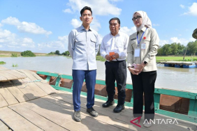 wapres-dorong-percepatan-pembangunan-jembatan-way-bungur-lampung