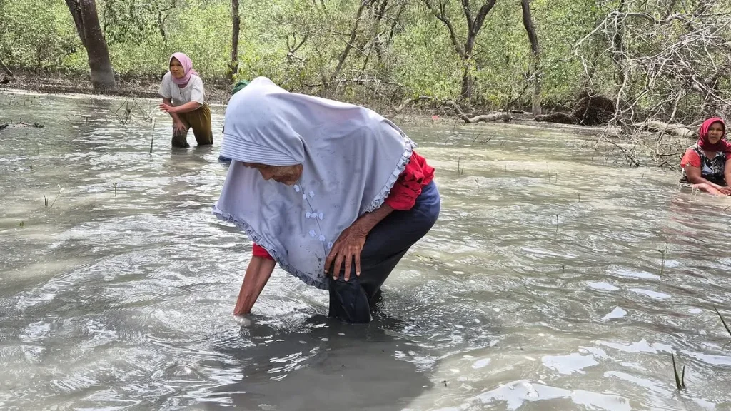perempuan-langkat-dikepung-sawit:-tinggal-di-desa-yang-nyaris-tenggelam,-jadi-buruh-diupah-murah