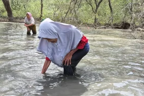 perempuan-langkat-dikepung-sawit:-tinggal-di-desa-yang-nyaris-tenggelam,-jadi-buruh-diupah-murah