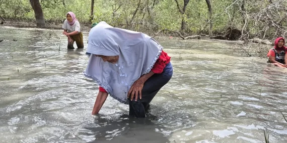 Perempuan Langkat Dikepung Sawit: Tinggal di Desa Yang Nyaris Tenggelam, Jadi Buruh Diupah Murah