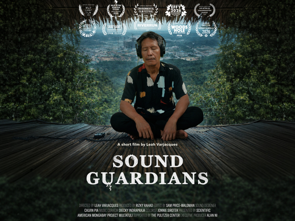 sound-guardians