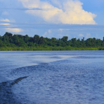 danau-rombebai-papua,-pesona-danau-air-tawar-terbesar-kedua-setelah-danau-sentani