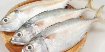 ikan-baru-ditebar-langsung-ditangkap-warga:-apakah-halal?